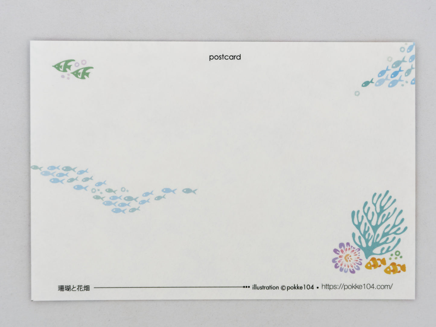 Postcard - Coral Flower Field